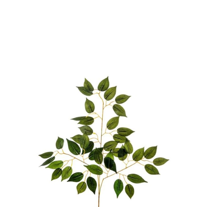 FOGLIA FICUS X42 H56